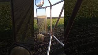 Sugar Beet Field  Minnesota USA [upl. by Refynnej]