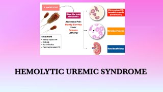 Hemolytic Uremic Syndrome [upl. by Einnahpets]