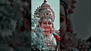 Kandha kadamba kadhir vela youtubeshorts murugan [upl. by Mallis]