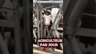 1 agriculteur tout les jours ⚰️🆘 sos agriculture élevage vache montbéliarde mort agriculteur [upl. by Merchant]