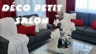 COMMENT DÉCORER UN PETIT SALON  HOW TO DECORATE A SMALL LIVING ROOM  SALON TOUR [upl. by Hsenid]