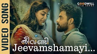 Theevandi Movie Song  Thaa Thinnam Video Song  Tovino Thomas  Kailas Menon [upl. by Yanal291]