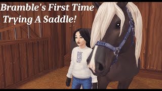 Brambles First Time Trying On A Saddle  SSO Realistic Roleplay [upl. by Priscella]