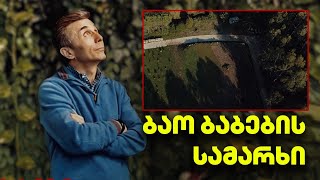 ივანიშვილის ფარული მიზანი  რისთვის ჩამოიტანა ბაობაბის ხეები [upl. by Nahgam]