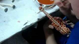 Safari Ltd® Wildlife Wonders™ Giraffe being Painted by Hand [upl. by Dnomsaj515]