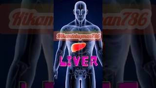 Liver health solutions tipssubscribe food healthybenefitshealthytips hikmateluqman78667 [upl. by Ardnuaek876]