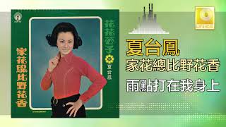 夏台鳳 Xia Tai Feng  雨點打在我身上 Yu Dian Da Zai Wo Shen Shang Original Music Audio [upl. by Bradway]