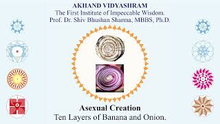 ASEXUAL CREATION OF PLANTS  Hindi  The Ten Layers and Asexual Creation of Banana and Onion Stems [upl. by Martica]