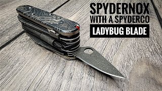 Custom SAK with a Spyderco LADYBUG blade [upl. by Nillek734]