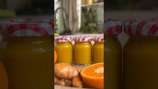 Immunity Booster Shots 🍊🫚✨ Healthy lifestyle shots winterspecial youtubeshorts omkarpawar [upl. by Hamas]