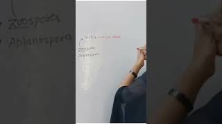 Difference between zoospores and Aplanospores  Suman Yadav  shorts [upl. by Kristopher]