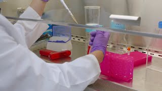 Tissue Culture Series 1 How to Thaw Cells with High Efficiency [upl. by Bencion]