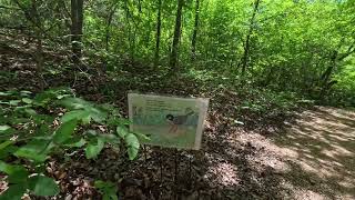 Hiking Canyon Floor Trail  Dogwood Canyon Audubon Center  Cedar Hill TX [upl. by Anilak]