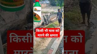 ख़तरनाक herbicide सावधानी से करें उपयोग [upl. by Naanac]