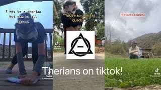 Therian tiktok compilation 3 [upl. by Eceerehs]