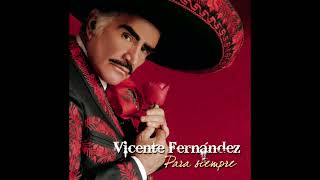 Joan Sebastian Ft Vicente Fernández  Un Millón De Primaveras Lyrics [upl. by Janaya354]