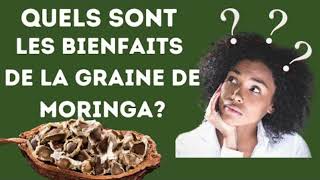 Quels sont les bienfaits de la graine de moringa [upl. by Na]