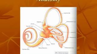 Vestibular System Anatomy [upl. by Thar999]