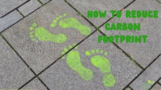 Environment How To Reduce Your Carbon Footprint [upl. by Aihsekan]