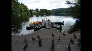 Loch Faskally and Pitlochry fish ladder walk Perthshire Scotland UK [upl. by Rebor]