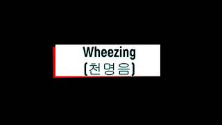 Wheezing 천명음 [upl. by Nbi]