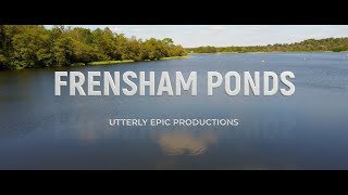 Frensham Ponds  Aerial Showcase [upl. by Yzdnil]