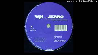 WJH amp Sebbo  Harmonix Original Mix [upl. by Lewak295]