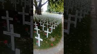 Ready for armistice day in Christchurch New Zealand 2024 armisticeday christchurch nz rip ww1 [upl. by Canica]