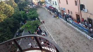 CANINO PALIO SAN CLEMENTE PRIMA DELLA FINALE 11 SETTEMBRE 2022 [upl. by Almire937]