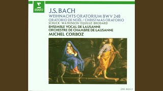 Weihnachtsoratorium BWV 248 Pt 2 No 15 Aria quotFrohe Hirten eilt ach eiletquot [upl. by Jodee]