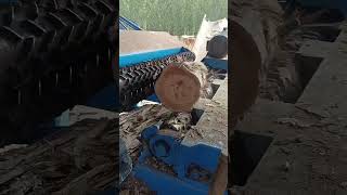 The process of rotary cutting wood Good tools and machinery make work easy [upl. by Michael643]