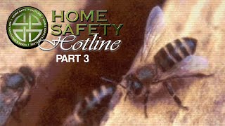 Home Safety Hotline  Highlights Part 3 [upl. by Cilka]