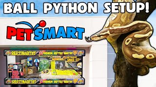 Ball Python Setup Guide for Beginners [upl. by Nobile]