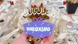 vlog 134  103024 Succulent Unboxing Day [upl. by Nessah514]