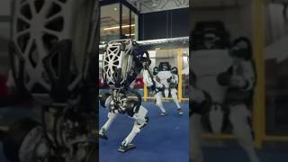 AI ROBOT Dance  comedy trendingshorts feedshorts [upl. by Lantha]