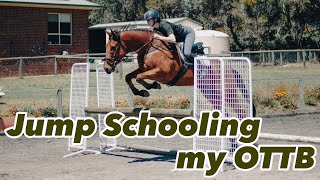 HORSE LEARNS GRIDWORK  OTTB Jump Schooling Vlog [upl. by Primaveria]