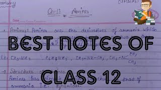 Amines organic chemistry class 12 Compounds containing nitrogen class 12 notes [upl. by Glennon]