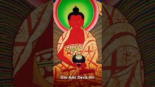 Amitabha Dharani and Mantra from Sukhavativyuha Sutra Chanted beautifully [upl. by Keheley]