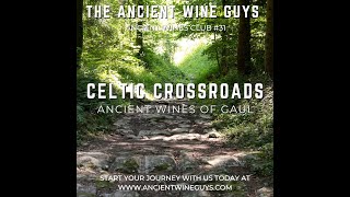 Celtic Crossroads Ancient Wines of Gaul [upl. by Ereveniug52]