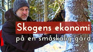 Skogens ekonomi på en småskalig gård  Plockhuggning med Anders Wilkes [upl. by Nailij]