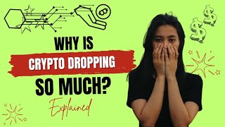 Why Is Crypto Dropping So Much  Explained [upl. by Caressa]