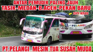 PtPelangi Lintas Sumatra❗Antar Pemudik Paling Jauh Mesin Tua Susah Muda [upl. by Monreal531]