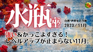 水瓶座♒2023年11月★強い＆かっこよすぎる！レベルアップが止まらない11月。 [upl. by Donald]