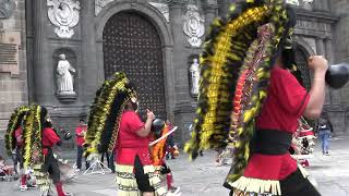 DANZA DE LOS CARRIZOS San Felipe de Jesús [upl. by Nnylahs]