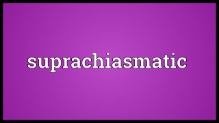 Suprachiasmatic Meaning [upl. by Arlon736]