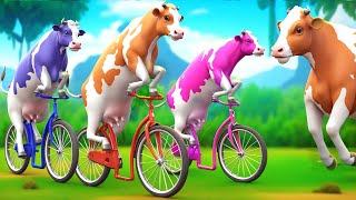 3 Giant Color Cows Race to Victory in a Funny Cycle Challenge Funny Cow Cartoon Videos [upl. by Atkins978]