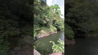 Rope swing at gardener falls [upl. by Aydne943]