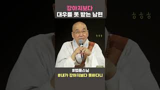 강아지보다 대우를 못 받는 남편 법륜스님 법륜스님쇼츠 법륜쇼츠 즉문즉설 정토불교대학 내가강아지보다못하다니 [upl. by Esorylime]