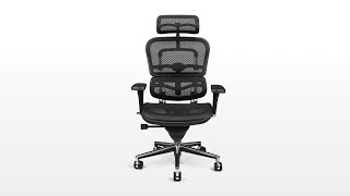 Original Ergohuman V1 Chair Review [upl. by Anirbas896]