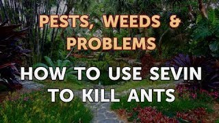 How to Use Sevin to Kill Ants [upl. by Resa961]